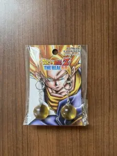 USJ限定ドラゴンボール Z THE REAL 4D ポタラ イヤリング