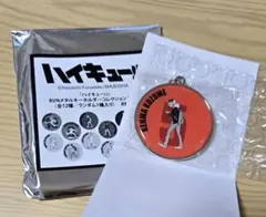 ハイキュー　メタルキーホルダー　孤爪研磨　音駒