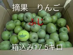 摘果りんご ふじ 箱込み17.5キロのサムネイル