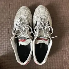モレリア2JAPAN29.5