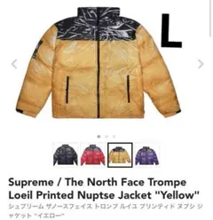 The North Face Trompe Loeil Printedノースフェ