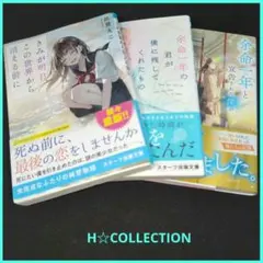H-1002　帯付き　純愛/恋愛ストーリー　文庫本 3冊セット　まとめ売り