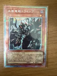 遊戯王 血樹竜姫ドラセレア プリズマ プリシク ① - メルカリ