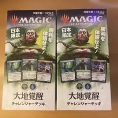 MTG 大地覚醒 チャレンジャーデッキ 日本語版 2個セットのサムネイル