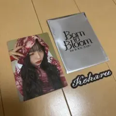 コハル　HANA　フォトカード　ステッカーセット