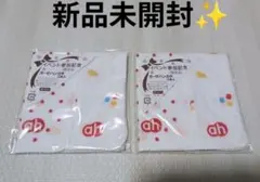 Item thumbnail for item 29a16103-353e-4ab7-a198-405c2271c6e9