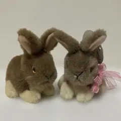 ウサギ ぬいぐるみ 2体セット