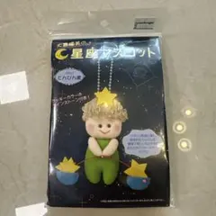 ★新品未開封★星座のフェルトキット