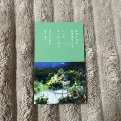 キンプリKing&Prince Waltz for Lily 永瀬廉 髙橋海人