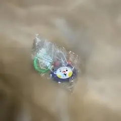 TRUZ めじるしアクセサリー WOOPY ウーピー