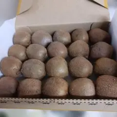 新鮮キウイ 約20個セット