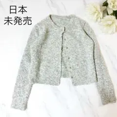 【日本未発売】　美品　カーディガン　グレー系　韓国　長袖　秋　トップス　羽織り