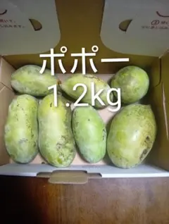 沖縄県産 摘果マンゴー 青マンゴー グリーンマンゴー2kg - メルカリ