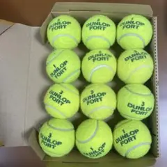DUNLOP FORT中古テニスボール12個