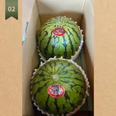 1. ☆朝採れ☆ 青森県産 【ひとりじめ】小玉スイカ 農家直送 6玉入り