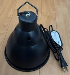 Item thumbnail for item 24d42b58-8262-49f6-9aad-456c5d827996