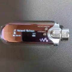 SONY ウォークマン NW-E507 美品 動作確認済 レアリティ 2025年最新】NW_E507の人気アイテム - メルカリ