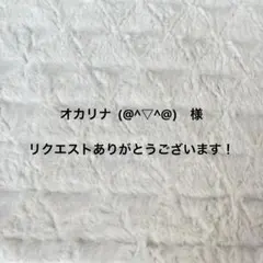 オカリナ (@^▽^@)様 リクエスト 2点 まとめ商品