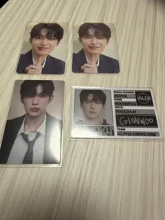 ALD1 ゴヌ　封入トレカ　EUPHORIA 4枚セット