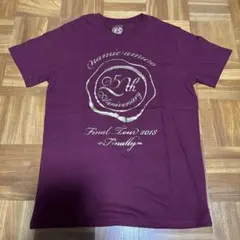 安室奈美恵☆25th anniversaryライブTシャツ 安室奈美恵 25th anniversary 25周年 引退 沖縄限定Tシャツ - メルカリ
