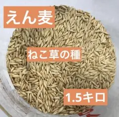 Item thumbnail for item dd971f54-e066-4c33-9b9c-1428ff458f33