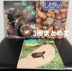 かがくのとも 雑木林のむしたち ヤママユ ハンミョウ 虫のおうち 福音