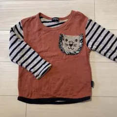 Kladskap クレードスコープ ライオン トレーナー