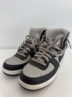 最終値下【※今週中のみ出品】 Nike ターミネーターハイ　ジョージタウンのサムネイル