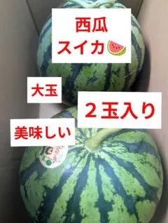 西瓜スイカ 特大 2玉入り 20Kg - メルカリ
