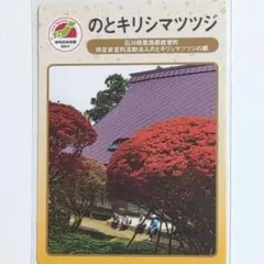2026年最新】地団カードの人気アイテム - メルカリ