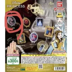 Disney Princess Canvas Ring 白雪姫