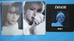 WayV 威神V 白色定格 XIAOJUN シャオジュン ornament