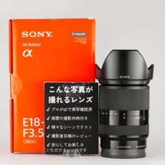 レンズ交換から解放される1本 SONY SEL18200LE 美品 130