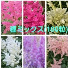 侘助様 リクエスト 2点 まとめ商品