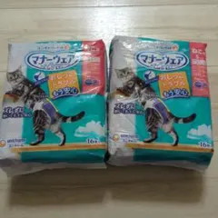 Item thumbnail for item 3243df4e-1eee-4899-91a4-a6d6de34b9d9