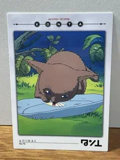 ハンターハンター カード キルア、クラピカ、ゴン、ヒソカ、クロロ、コン太②