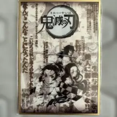 鬼滅の刃 ダイニング コラージュ台本アクリル色紙 冨岡義勇　胡蝶しのぶ 鬼滅の刃 ダイニング コラージュ 台本 アクリル色紙 胡蝶しのぶ 冨岡