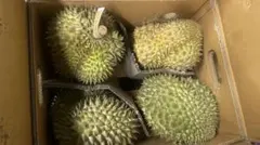 タイ産ドリアン 　箱込み約10kg 佐川急便発送 タイ産ドリアン 箱込み約10kg 佐川急便発送 - メルカリ