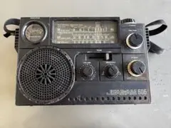 Item thumbnail for item d2b2a646-be8e-40cc-b2ed-8c71d9457314