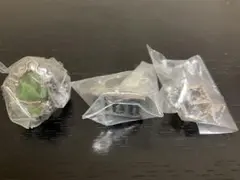 家庭教師ヒットマンREBORN! ボンゴレリング　ヘルリング　など