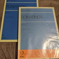 Item thumbnail for item 9cda8eb2-4d93-4dc3-a7fc-3a90c05abb28