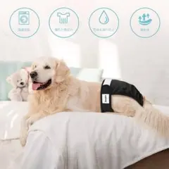 未使用品　犬　ペットサニタリーカバー　マナーパンツ　XL