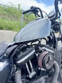 ナイキング様専用 サイモンカスタム タンクカバー フュエルキャップ