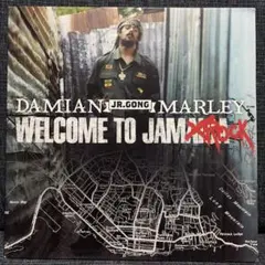 2026年最新】Damian marley レコードの人気アイテム - メルカリ DAMIAN MARLEY レコード