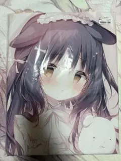 しらたまこ しらたま しろいいぬ 抱き枕カバー - メルカリ