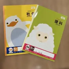 Yuutan⭐様 リクエスト 2点 まとめ商品