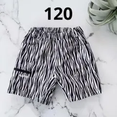 新品未使用XLARGE KIDSゼブラ柄ハーフパンツ 水陸両用 男の子120