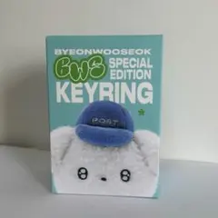 ビョンウソクBWS&TTE KEYRING TTE&BWS ぬいぐるみマスコット - メルカリ