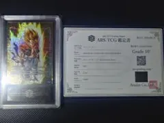 ARS10 鑑定書付き】エナジーマーカー E-132 - メルカリ