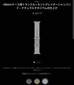 Apple純正 オーシャンバンド ナチュラルチタニウム 49mm 新品未使用